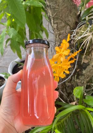 Hình của món TRÀ TÍA TÔ, đường phèn và tắc.