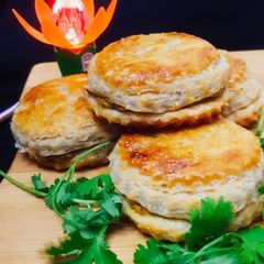 A picture of Desi Chicken Patties.