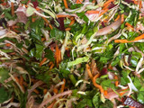 Ensalada multicolor