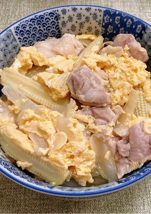 洋蔥玉米筍燉雞 的食譜成品照片