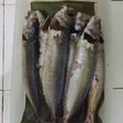 Pindang Cuek Home Made