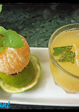 A picture of Ganga Jamuna juice with mint ice cubes.