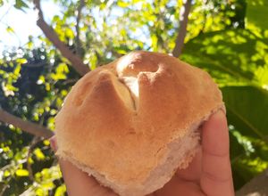 Una foto de Figazas de manteca.🍞
