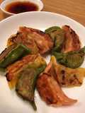 Colorful Japanese Gyoza Dumpling