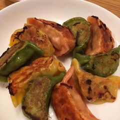 A picture of Colorful Japanese Gyoza Dumpling.