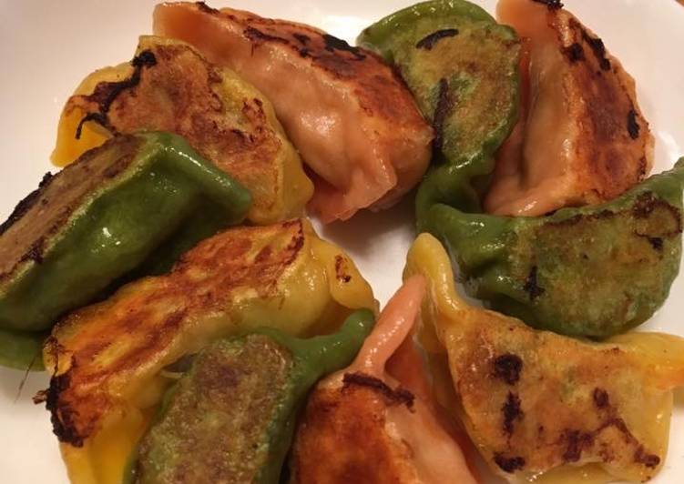 Colorful Japanese Gyoza Dumpling Colorful Japanese Gyoza Dumpling