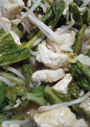 Foto resep Cah Sawi Tauge Tahu Praktis