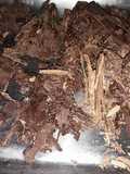 Chocolate En Rama