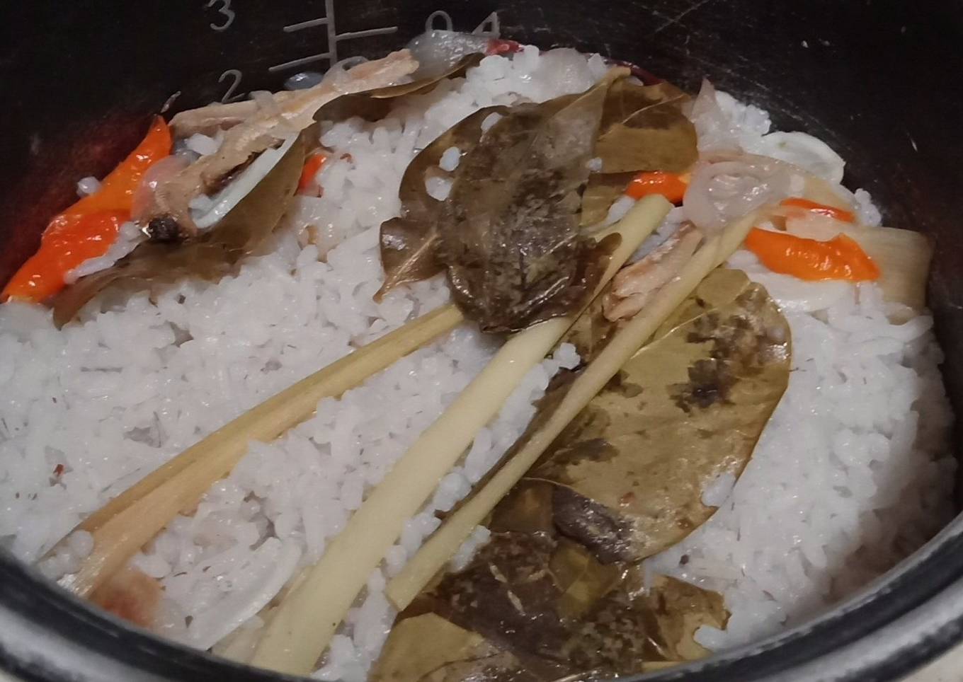 Nasi Levitt Magic Low: