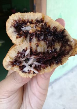Foto resep Martabak lipat