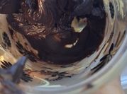 A picture of oil spread