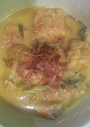 Foto resep 74.Patin Kuah Santan
