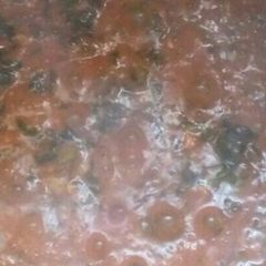 A picture of This my best soup ever(ogbono soup)cooked with okro.