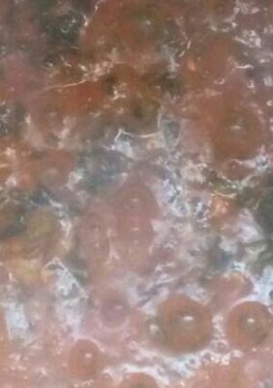 A picture of This my best soup ever(ogbono soup)cooked with okro.