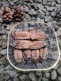 Cokelat cookies