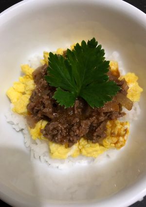 Foto resep #11 Nasi Telur Saus Daging (Menu MPASI)