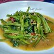 Tumis Kangkung