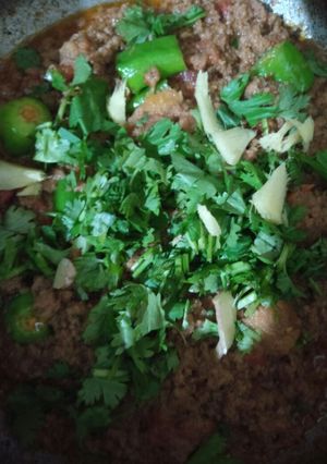 A picture of Beef karhai qeema.