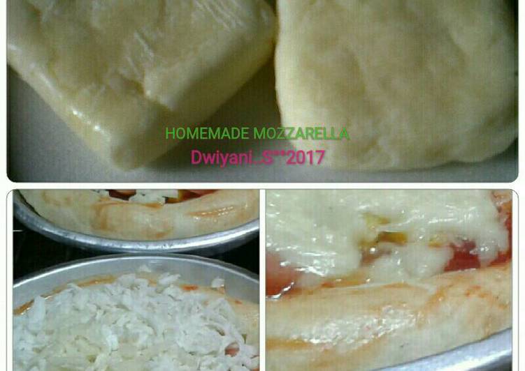 Homemade Mozzarella dari Susu Sapi Segar