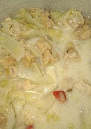 Foto resep Santan sawi putih