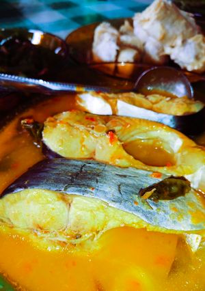 Gambar Ikan Patin Tempoyak