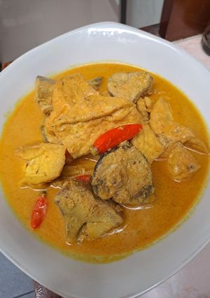 Foto resep Tongkol Masak Santan