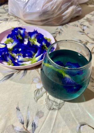 Foto resep 530. Teh Bunga Telang