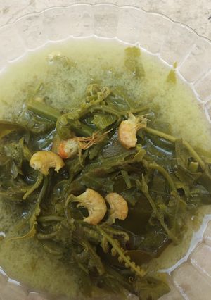 Foto resep Lemak Pakis udang