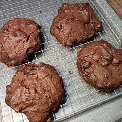 Fudgy Chocolate Chip cookies A picture of Fudgy Chocolate Chip cookies.