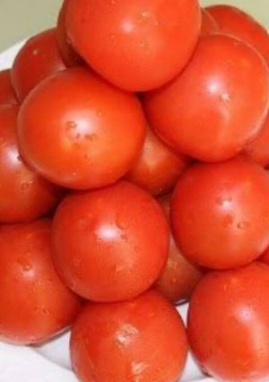 صورة لوصفة كيفية تخزين الطماطم في الفريزر بطريقة سهلة لشهر رمضان