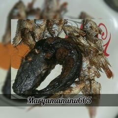 A picture of Fried catfish.