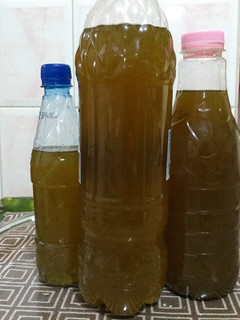 عکسی از دستور شربت نعنا