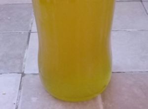 Una foto de Lemonchelo