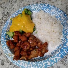 A picture of Teriyaki chicken.