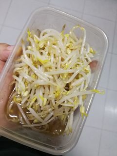 รูปของ ยำถั่วงอกแบบเกาหลี