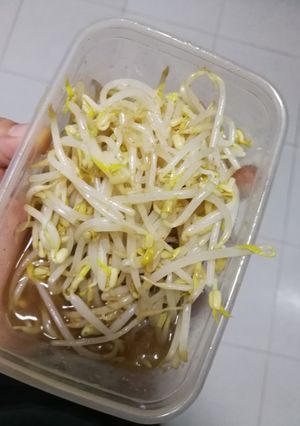 รูปของ ยำถั่วงอกแบบเกาหลี