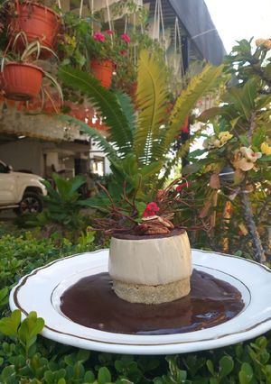 Una foto de ~Pannacota de crema de avellana en salsa de chocolate~