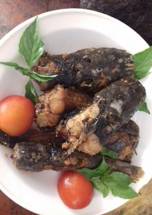 Foto resep Tips menggoreng lele#SeninBisa#BikinRadanBerkesan#
