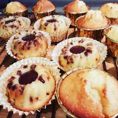 Une photo de Muffins aux pépites de chocolat  (thermomix)