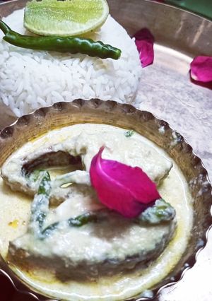 বাদশাহী ইলিশ (Badshahi Ilish recipe in Bengali) রেসিপির প্রধান ছবি