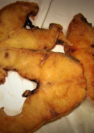 Una foto de Pati frito al disco de arado 🐟