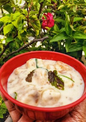 क्रीमी व्हाइट सॉस पनीर इन 10 मिनट्स(creamy white sauce paneer in 10 minuts recipe in hindi) रेसिपी मुख्य फोटो