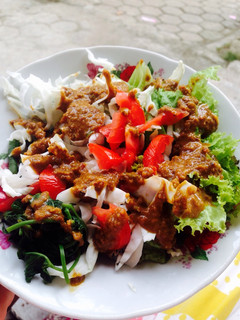 Foto resep Salad sayur indonesia (gadogado)