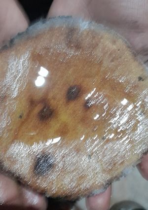 बाजरे की रोटी (Bajre ki roti recipe in Hindi) रेसिपी मुख्य फोटो