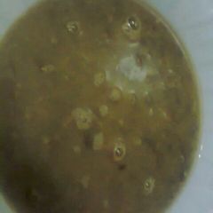 A picture of Green grams stew.