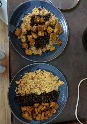 A picture of Southwestern Tofu, Black Beans, and Rice.