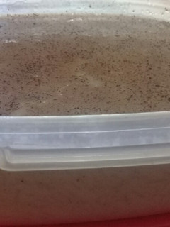 Una foto de Arroz con leche (microondas)