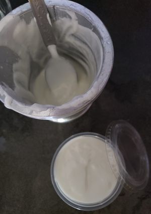 A picture of Mayo at home.