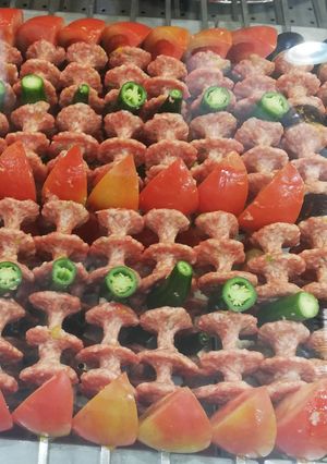 A picture of Grilled Kebab with Vegetables.
