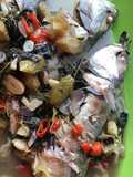 Ikan Kuah Asam Pedas suegerr
